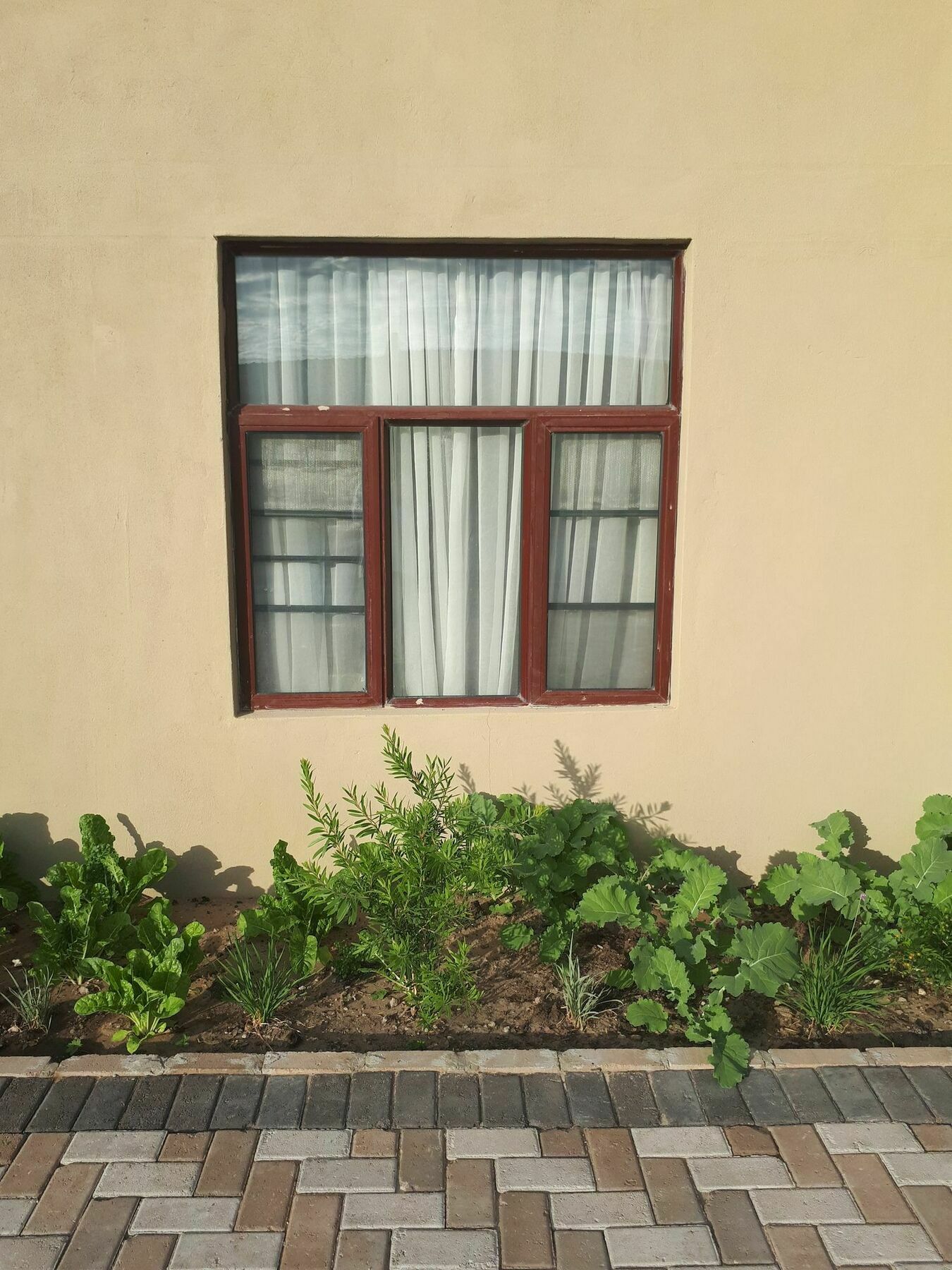 Mafking Apartments Maun Dış mekan fotoğraf